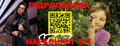 шишки Гусев