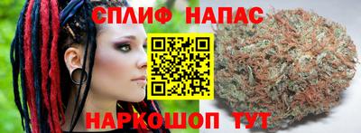 шишки Гусев