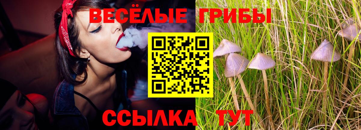 купить  сайты  Галлюциногенные грибы MAGIC MUSHROOMS  Вход с VPN  Глазов  Псилоцибиновые грибы ЛСД 